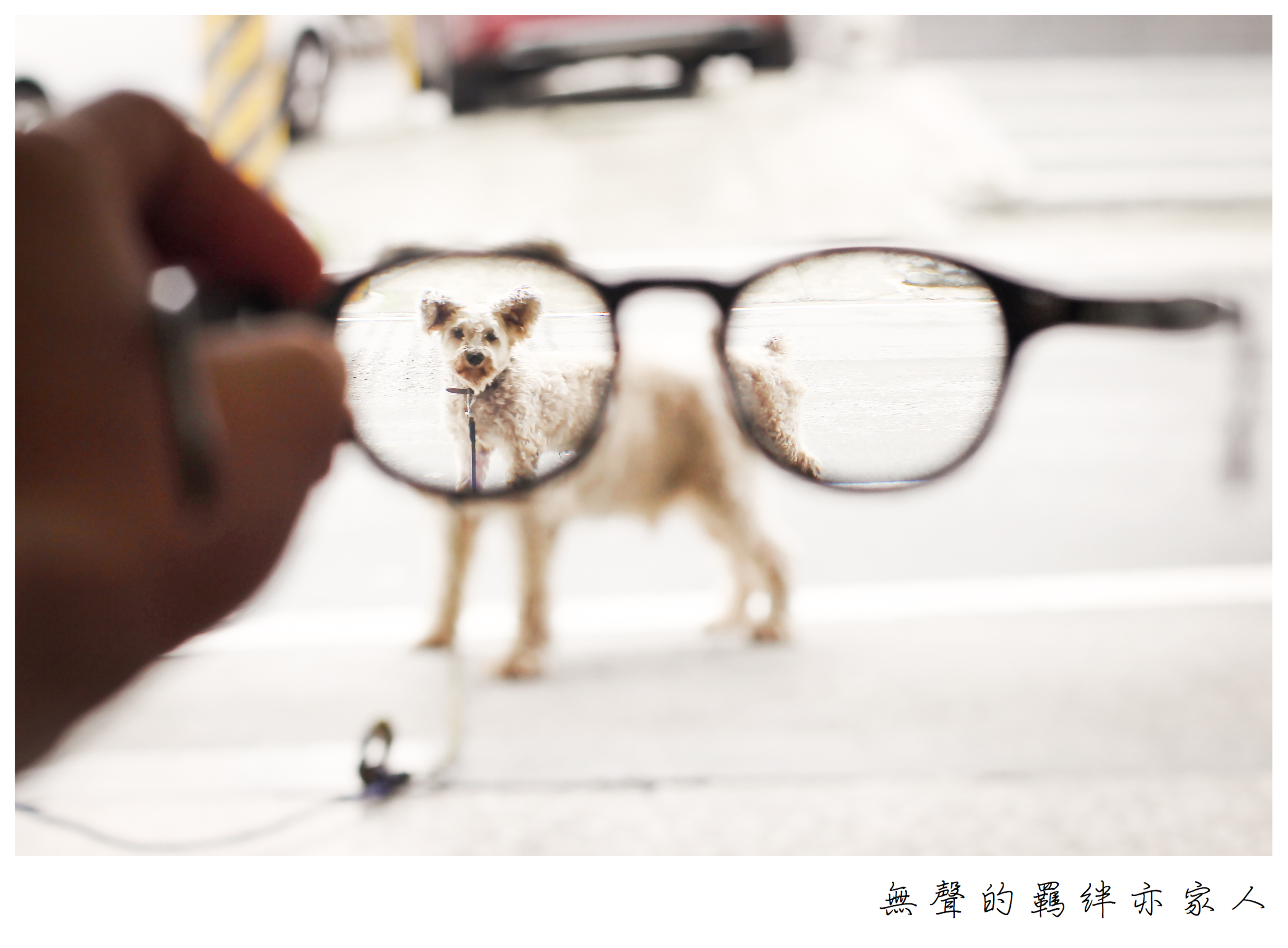 無聲的羈絆亦家人